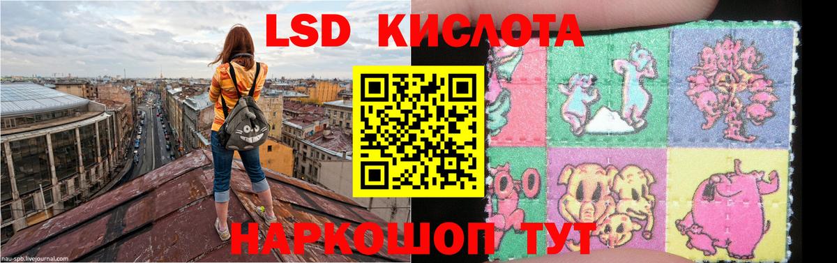 LSD-25 экстази кислота  Лсд 25 экстази кислота  гидра ONION  Светлоград  Вход с VPN  Лсд 25 экстази 