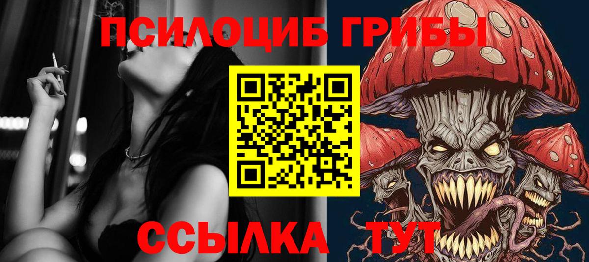 Светлоград  Галлюциногенные грибы MAGIC MUSHROOMS  Вход с VPN 