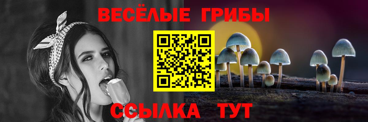 Псилоцибиновые грибы мицелий Светлоград